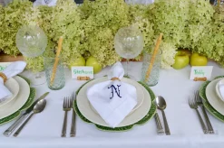 Ceramic Bamboo Straws (4)