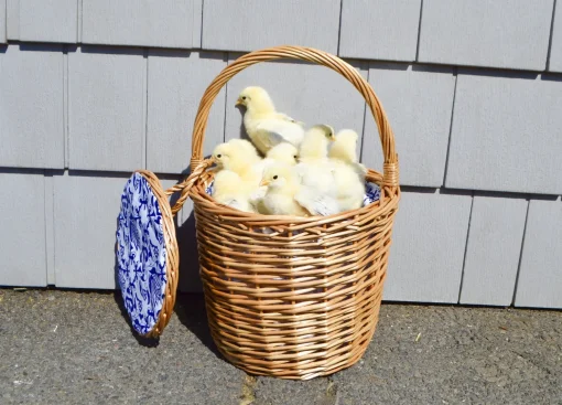 Honey Wicker Basket