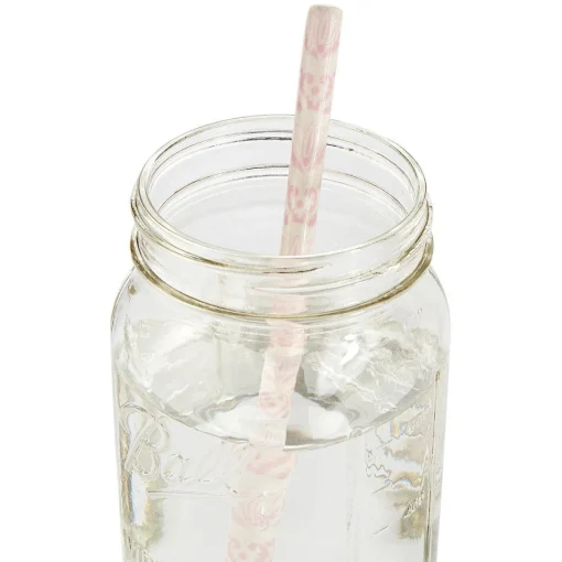 Pink & White Ceramic Straws (4)