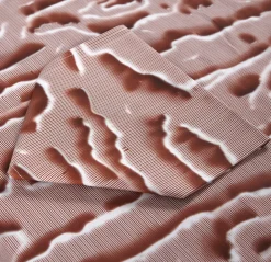 Woodcut Tablecloth